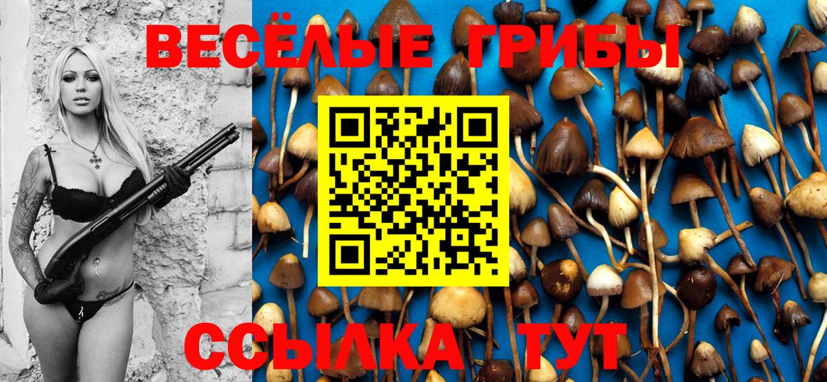Псилоцибиновые грибы Cubensis  Вход с VPN  как найти закладки  Псилоцибиновые грибы ЛСД  Нефтекамск 